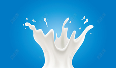 牛奶香精 milk flavor